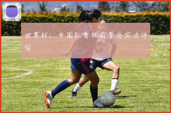 世界杯：中国队晋级前景与实力评估